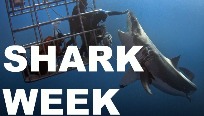 Start screamin’, it’s shark week