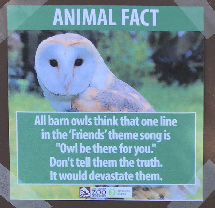 funny-animal-facts-fake-los-angeles-zoo-obvious-plant-8-5776744fca78e__700