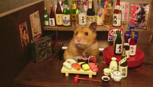 hamster-sushi-and-saki-bar