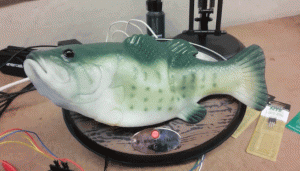 A Fish Called Alexa