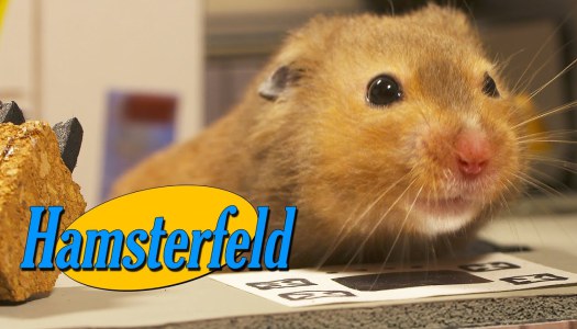hamsterfeld-the-opening-credits